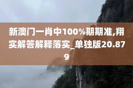 新澳门一肖中100%期期准,翔实解答解释落实_单独版20.879