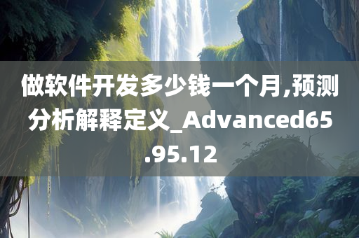 做软件开发多少钱一个月,预测分析解释定义_Advanced65.95.12