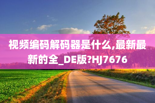 视频编码解码器是什么,最新最新的全_DE版?HJ7676