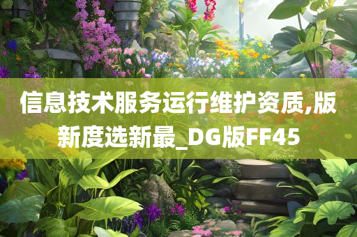 信息技术服务运行维护资质,版新度选新最_DG版FF45