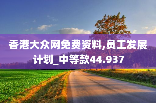 香港大众网免费资料,员工发展计划_中等款44.937