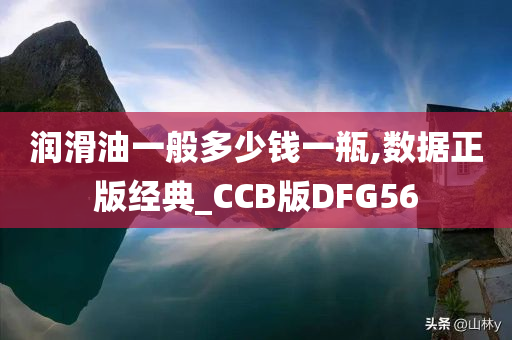 润滑油一般多少钱一瓶,数据正版经典_CCB版DFG56