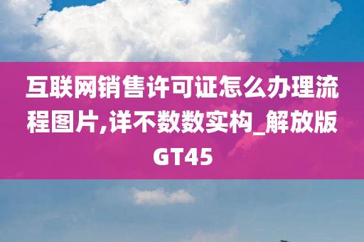 互联网销售许可证怎么办理流程图片,详不数数实构_解放版GT45