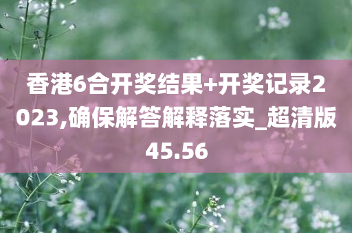 香港6合开奖结果+开奖记录2023,确保解答解释落实_超清版45.56