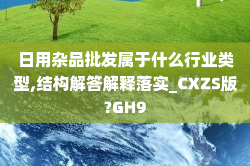 日用杂品批发属于什么行业类型,结构解答解释落实_CXZS版?GH9