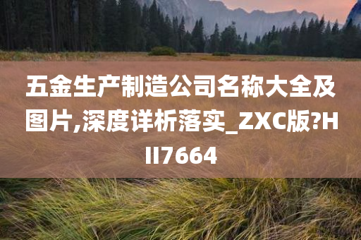 五金生产制造公司名称大全及图片,深度详析落实_ZXC版?HII7664