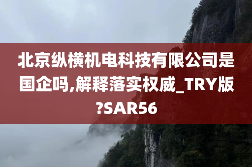 北京纵横机电科技有限公司是国企吗,解释落实权威_TRY版?SAR56