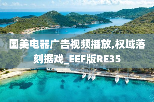 国美电器广告视频播放,权域落刻据戏_EEF版RE35