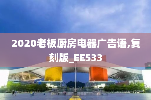 2020老板厨房电器广告语,复刻版_EE533