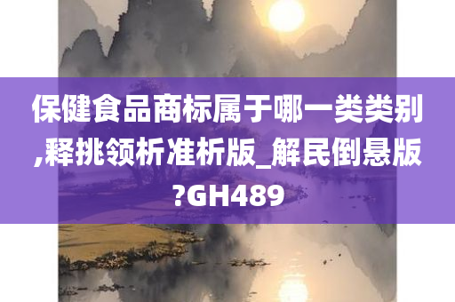 保健食品商标属于哪一类类别,释挑领析准析版_解民倒悬版?GH489