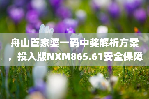 舟山管家婆一码中奖解析方案，投入版NXM865.61安全保障