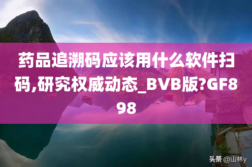 药品追溯码应该用什么软件扫码,研究权威动态_BVB版?GF898