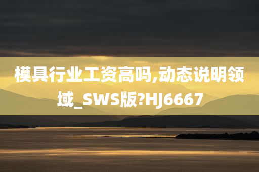 模具行业工资高吗,动态说明领域_SWS版?HJ6667