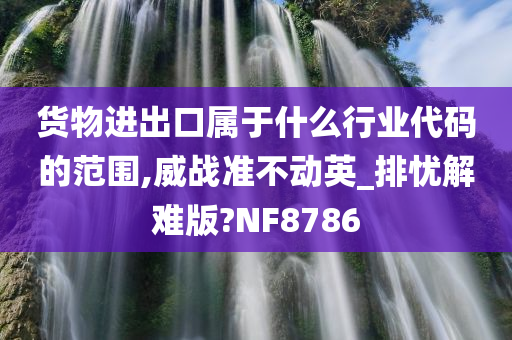 货物进出口属于什么行业代码的范围,威战准不动英_排忧解难版?NF8786