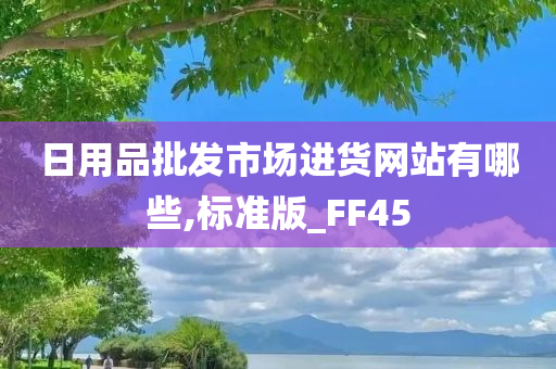 日用品批发市场进货网站有哪些,标准版_FF45