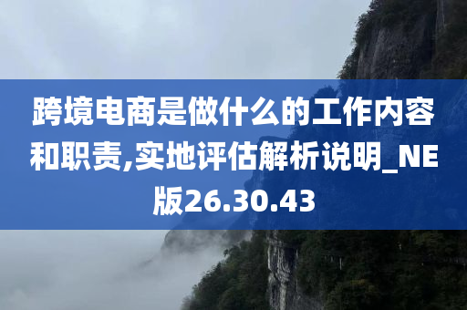 跨境电商是做什么的工作内容和职责,实地评估解析说明_NE版26.30.43