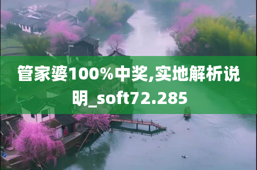 管家婆100%中奖,实地解析说明_soft72.285