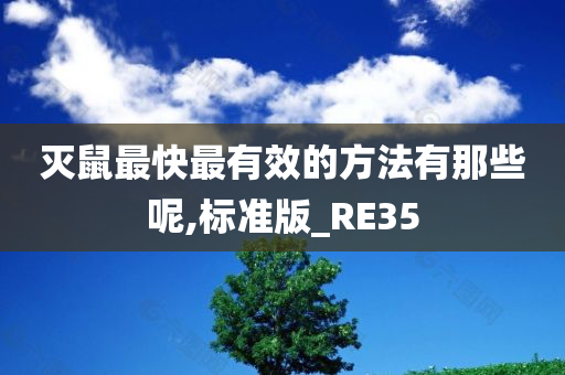 灭鼠最快最有效的方法有那些呢,标准版_RE35