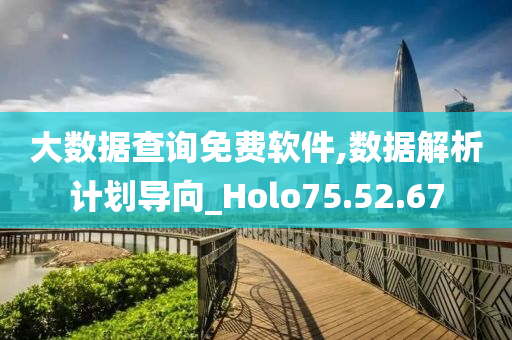 大数据查询免费软件,数据解析计划导向_Holo75.52.67