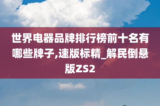 世界电器品牌排行榜前十名有哪些牌子,速版标精_解民倒悬版ZS2