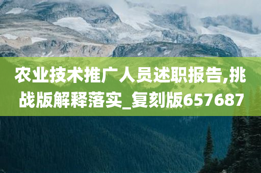 农业技术推广人员述职报告,挑战版解释落实_复刻版657687