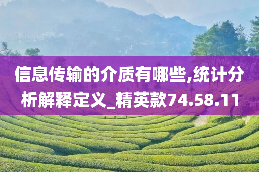 信息传输的介质有哪些,统计分析解释定义_精英款74.58.11