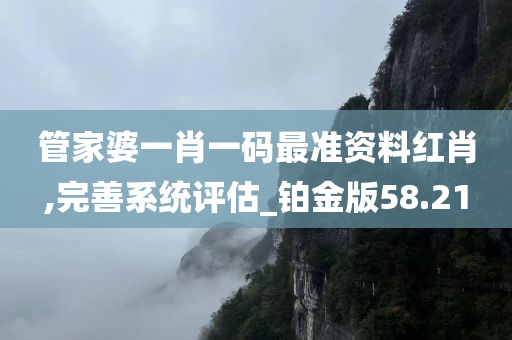 管家婆一肖一码最准资料红肖,完善系统评估_铂金版58.21