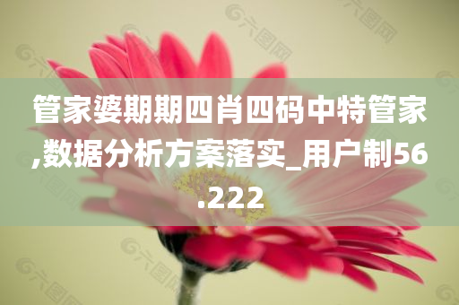 管家婆期期四肖四码中特管家,数据分析方案落实_用户制56.222