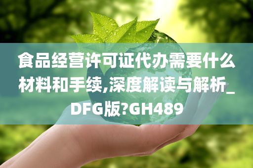 食品经营许可证代办需要什么材料和手续,深度解读与解析_DFG版?GH489