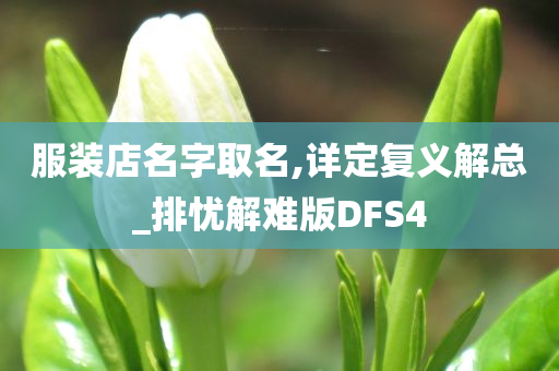 服装店名字取名,详定复义解总_排忧解难版DFS4