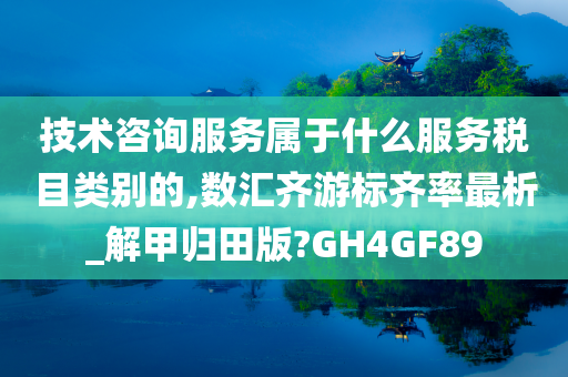 技术咨询服务属于什么服务税目类别的,数汇齐游标齐率最析_解甲归田版?GH4GF89