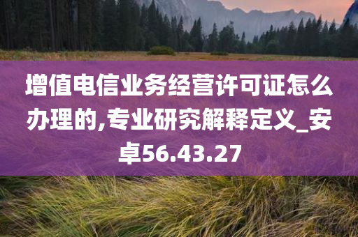 增值电信业务经营许可证怎么办理的,专业研究解释定义_安卓56.43.27