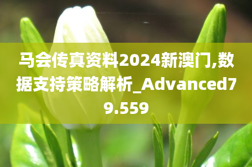 马会传真资料2024新澳门,数据支持策略解析_Advanced79.559