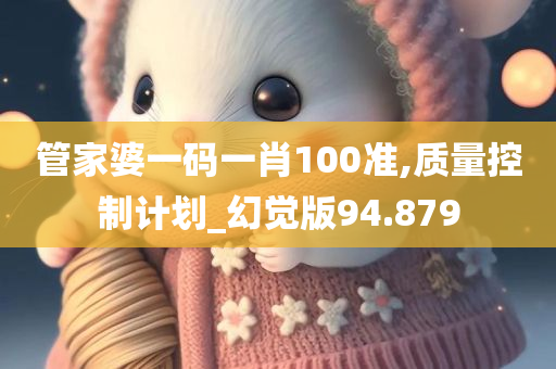 管家婆一码一肖100准,质量控制计划_幻觉版94.879