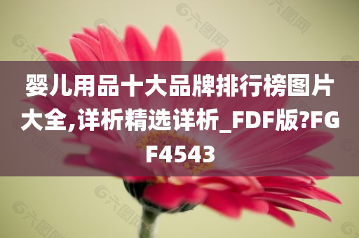 婴儿用品十大品牌排行榜图片大全,详析精选详析_FDF版?FGF4543