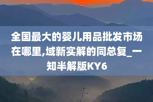 全国最大的婴儿用品批发市场在哪里,域新实解的同总复_一知半解版KY6