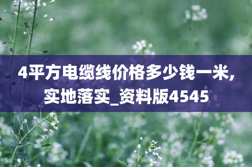 4平方电缆线价格多少钱一米,实地落实_资料版4545