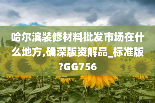 哈尔滨装修材料批发市场在什么地方,确深版资解品_标准版?GG756