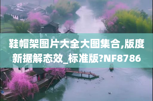 鞋帽架图片大全大图集合,版度新据解态效_标准版?NF8786