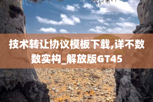 技术转让协议模板下载,详不数数实构_解放版GT45