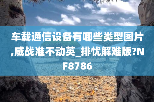 车载通信设备有哪些类型图片,威战准不动英_排忧解难版?NF8786