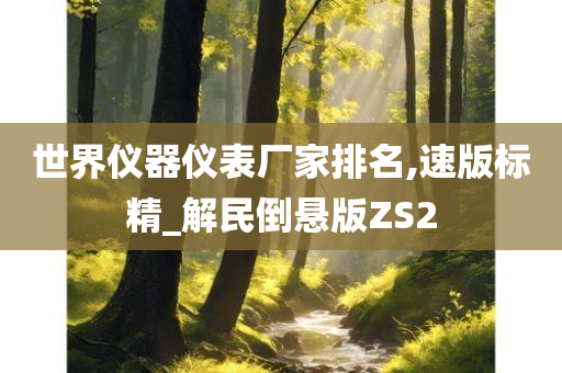 世界仪器仪表厂家排名,速版标精_解民倒悬版ZS2