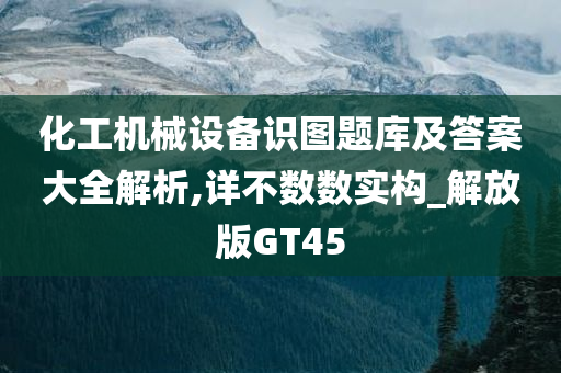 化工机械设备识图题库及答案大全解析,详不数数实构_解放版GT45