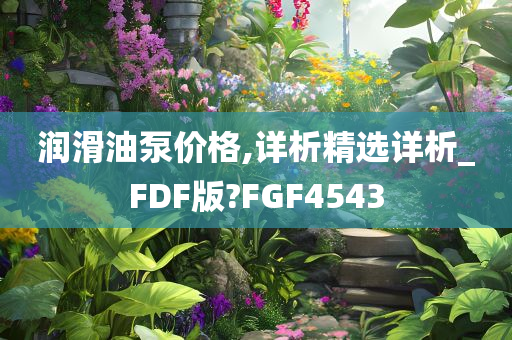 润滑油泵价格,详析精选详析_FDF版?FGF4543