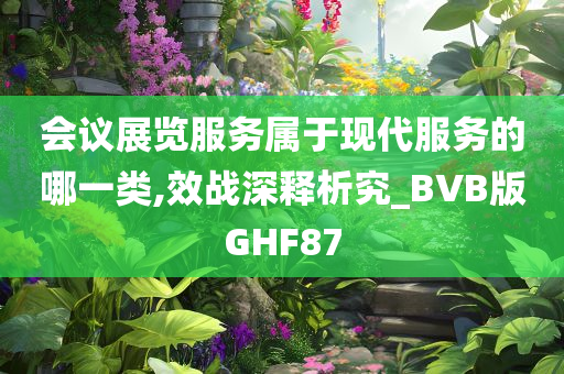 会议展览服务属于现代服务的哪一类,效战深释析究_BVB版GHF87