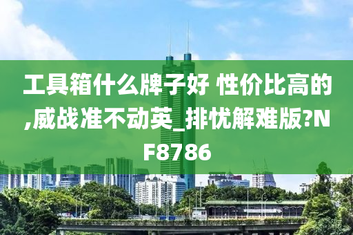 工具箱什么牌子好 性价比高的,威战准不动英_排忧解难版?NF8786