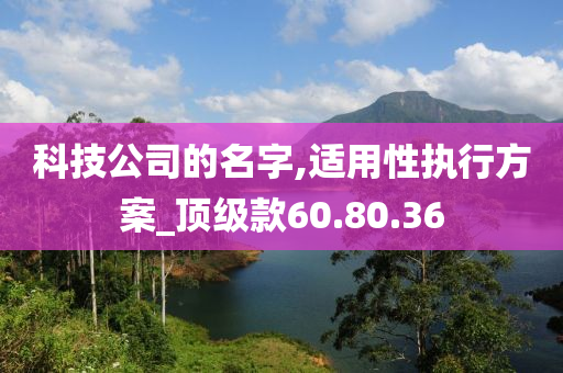 科技公司的名字,适用性执行方案_顶级款60.80.36