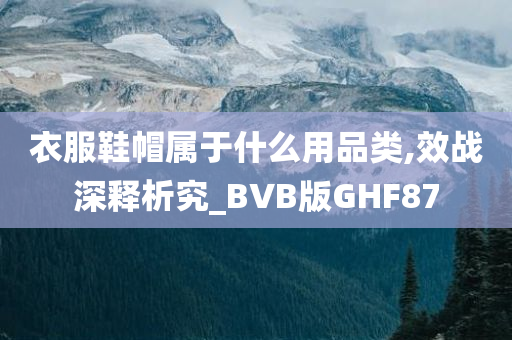 衣服鞋帽属于什么用品类,效战深释析究_BVB版GHF87