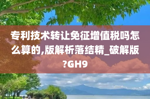 专利技术转让免征增值税吗怎么算的,版解析落结精_破解版?GH9