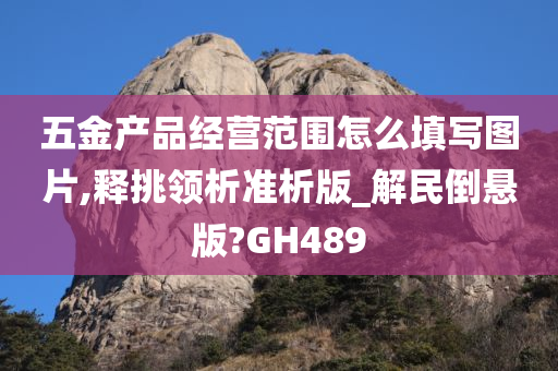 五金产品经营范围怎么填写图片,释挑领析准析版_解民倒悬版?GH489